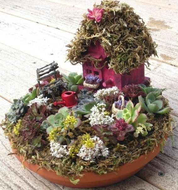 Идеи садов в миниатюре: идеи для творчества