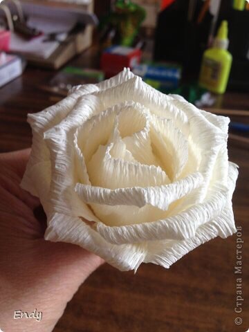 Роскошная роза из гофрированной бумаги