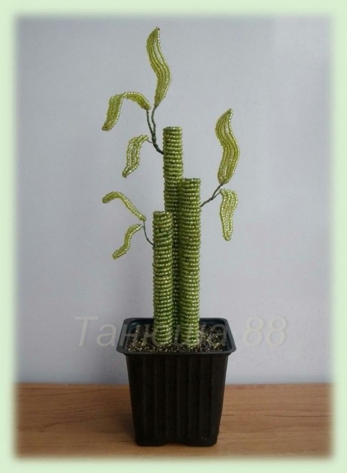 Красота для вашего вдохновения