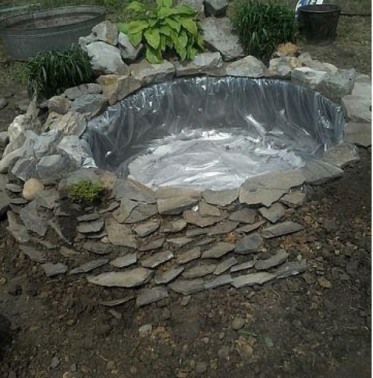 Пруд на даче своими руками: мастер-класс