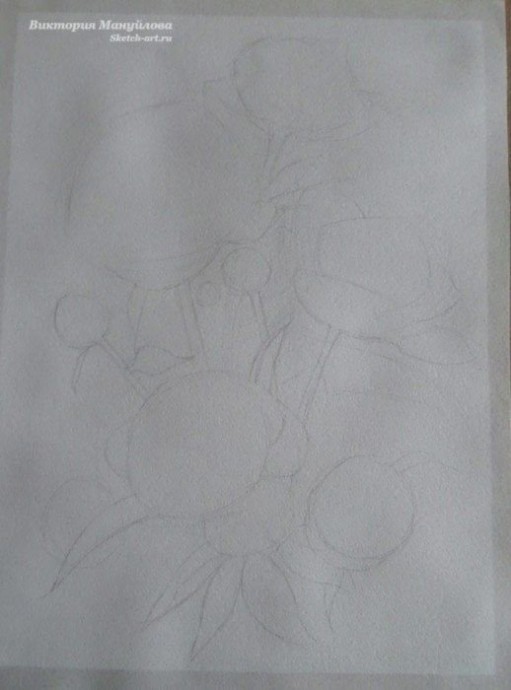 Урок рисования акварелью: пионы