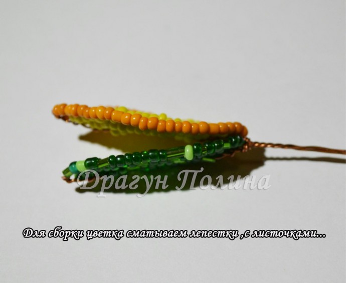 ​Солнечные подсолнухи