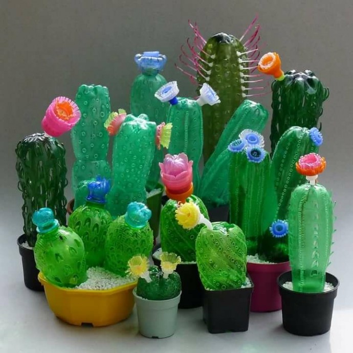 Кактусы из пластиковых бутылок: идеи для творчества