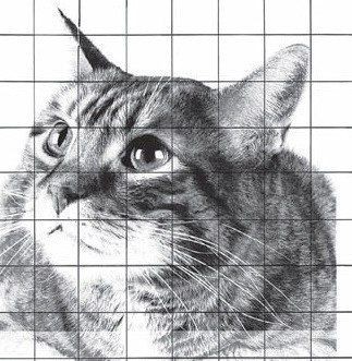 ​Рисуем котика: мастер-класс