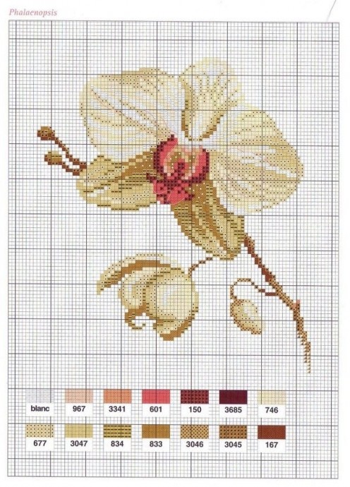 ​Схемы вышивки орхидей