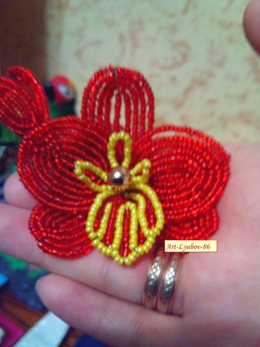 ​Чудесный букет орхидей