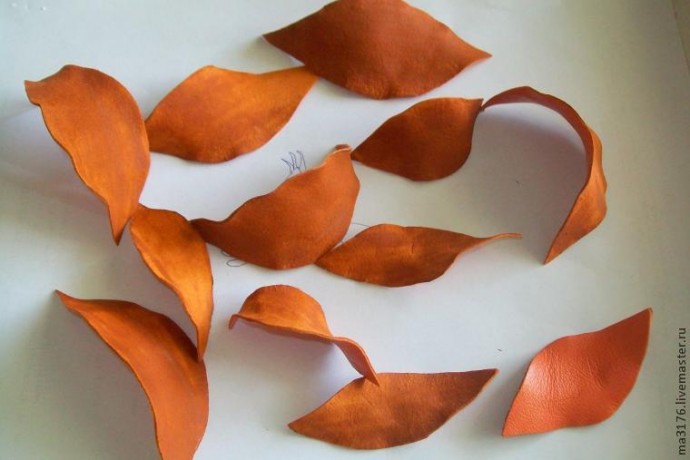 Огненная лилия