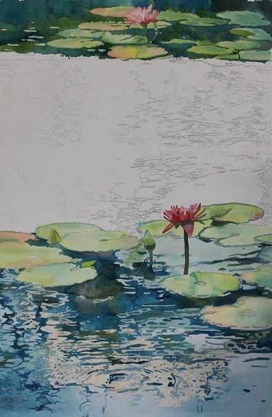 ​Рисуем водяные лилии