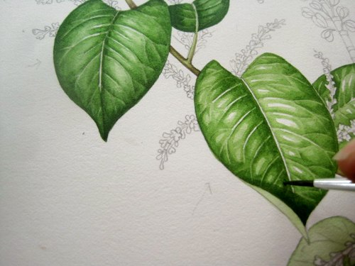 Рисуем листья