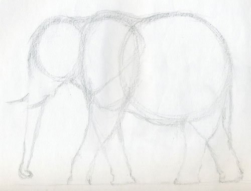 Рисуем настоящего слона
