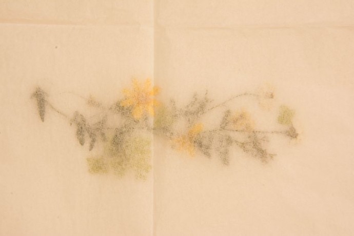 Закладка-гербарий "Мгновения"