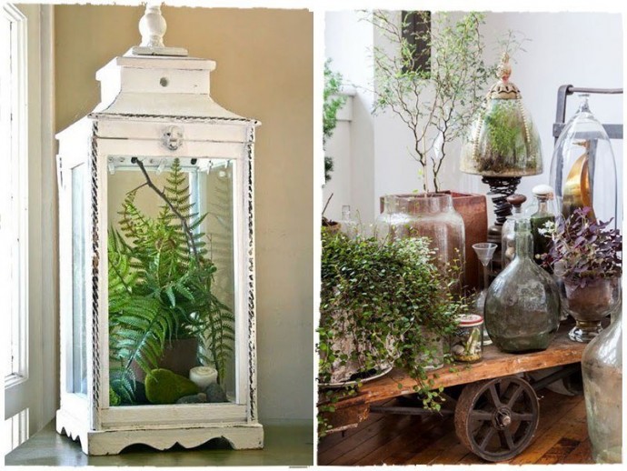 Необычные идеи для декора с растениями