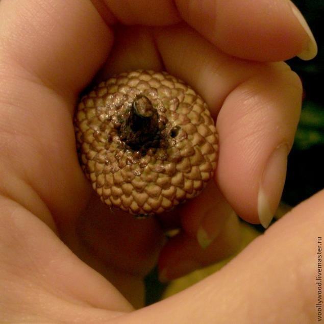 Кулон-домик в форме желудя