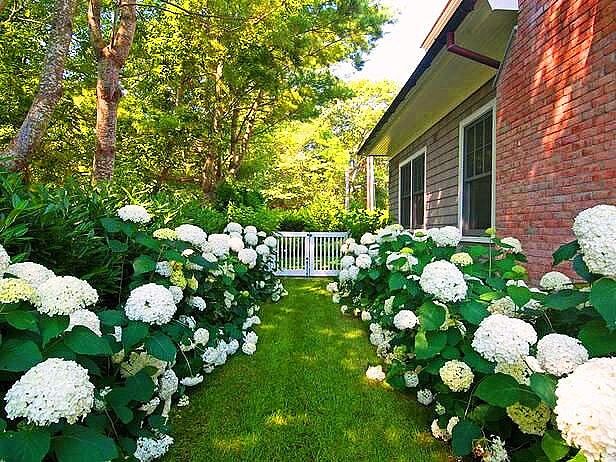 Оригинальные идеи ландшафтного дизайна