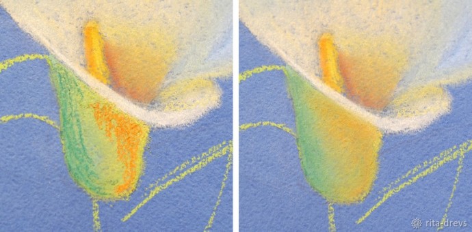 Рисуем пастелью изящный цветок каллы