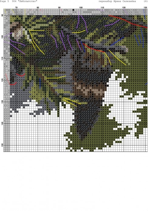 Вышиваем енота Вышиваем енота