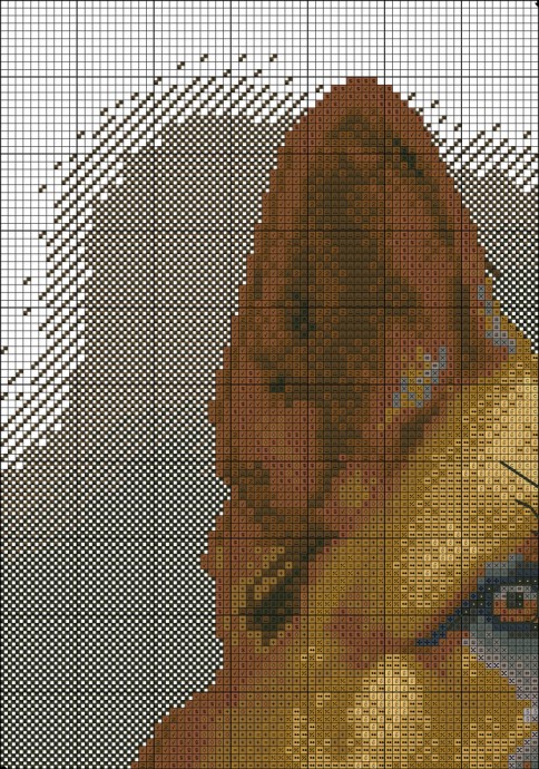 ​Вышиваем овчарку