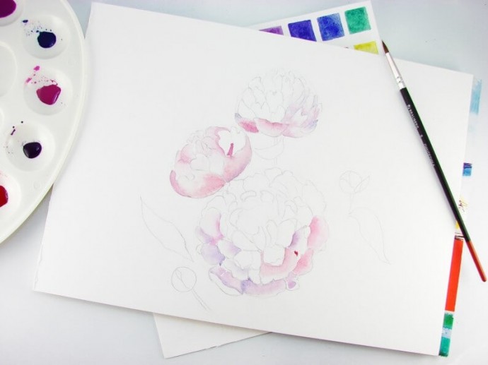 Рисуем пионы акварелью