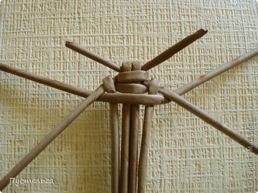 Божья коровка