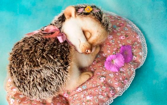 Валяние: очаровательные милашки