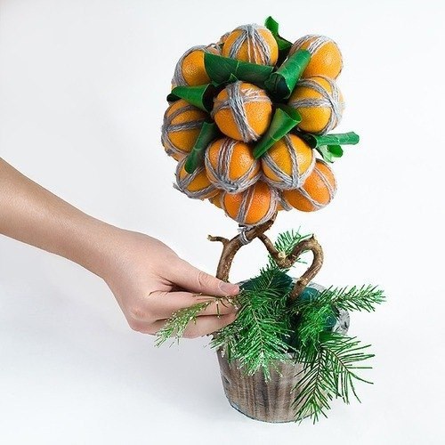 Новогодний топиарий: Апельсиновое дерево