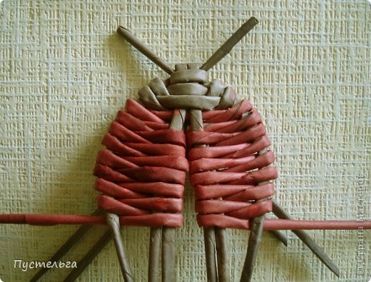 Божья коровка