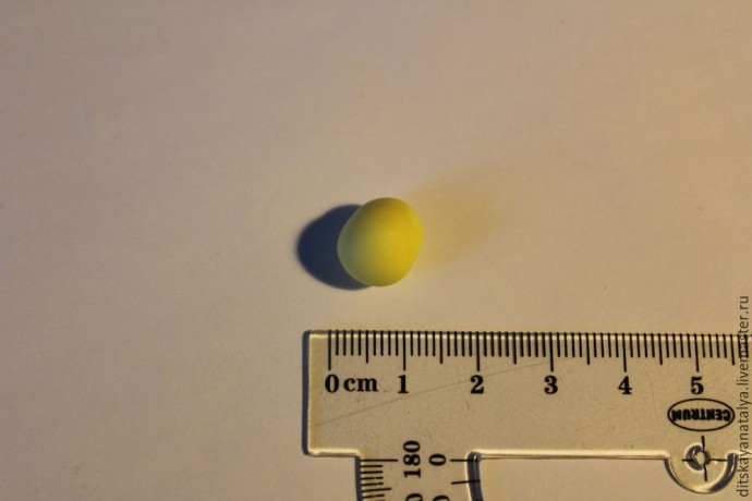 Цветок кальцеолярии