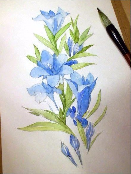 Рисуем цветы акварелью поэтапно