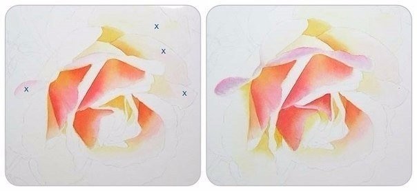 Учимся рисовать розу акварелью