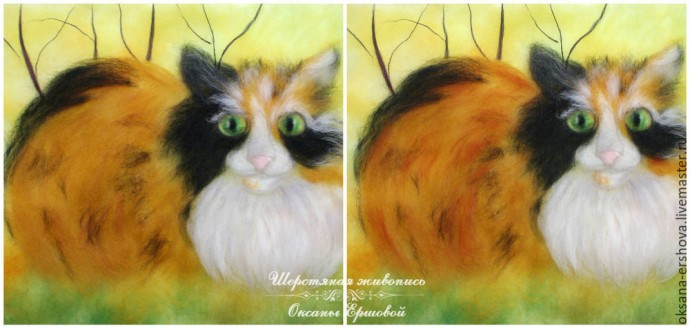 Картина из шерсти "Кот"