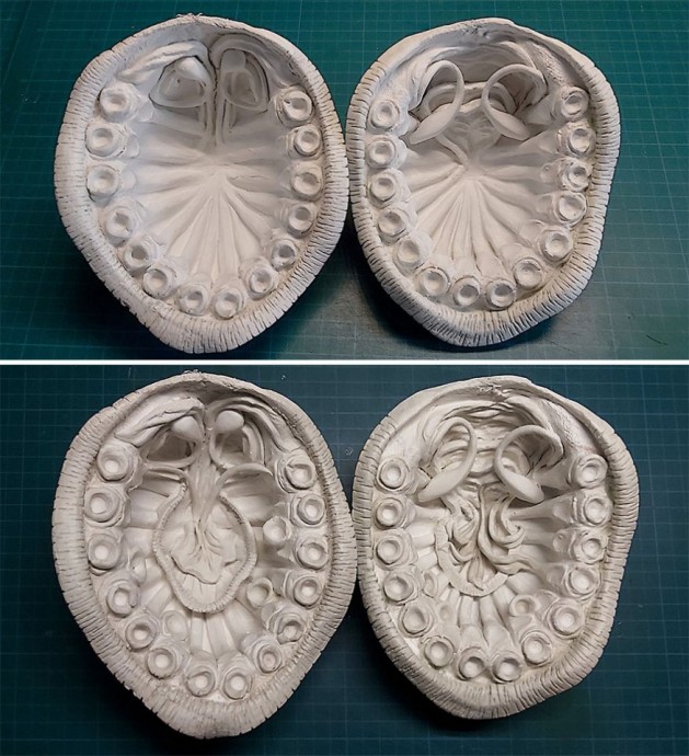 Красота страшная сила