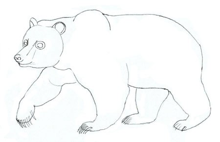 Рисуем правдоподобного медведя