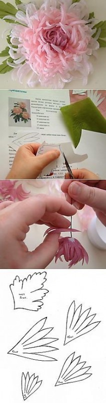 Большая подборка цветов