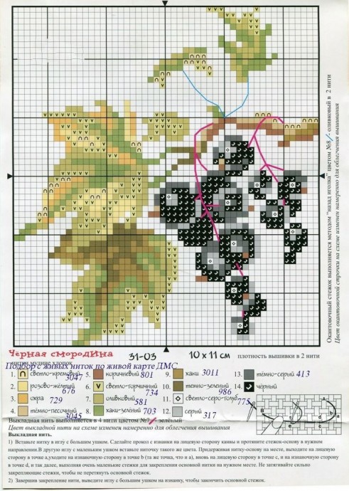 Ягоды и ягодки