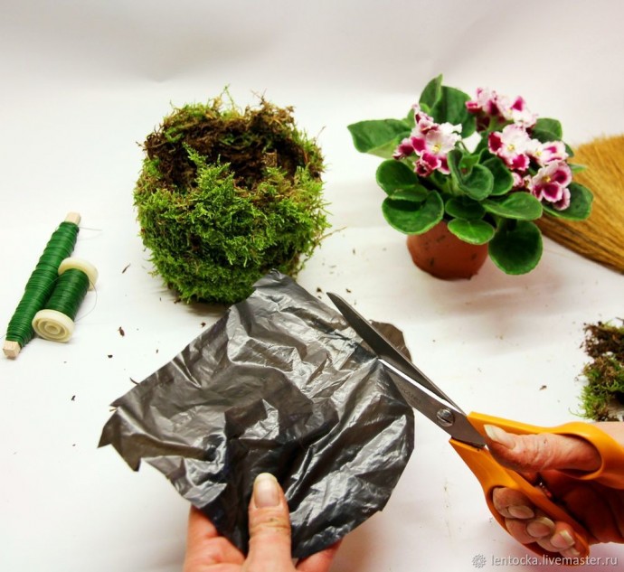 Лесной мох в интерьере