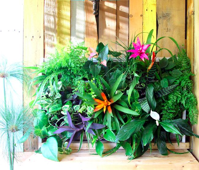 Деревянные поддоны для вашего сада: идеи для вдохновения