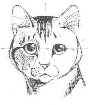 Рисуем кошку простым карандашом