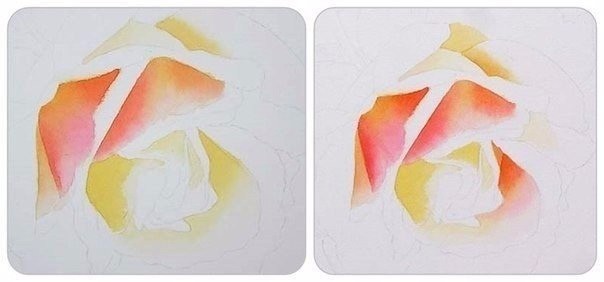 Учимся рисовать розу акварелью