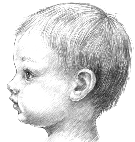 Рисуем лицо младенца: пошаговый урок