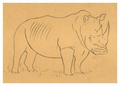 Рисуем носорога