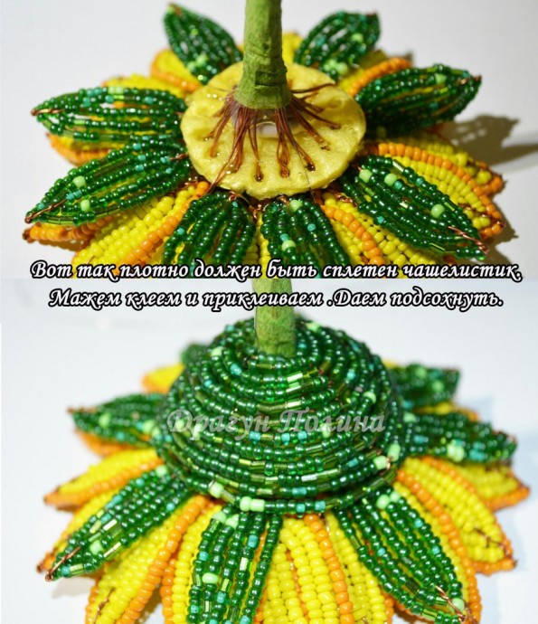 ​Солнечные подсолнухи