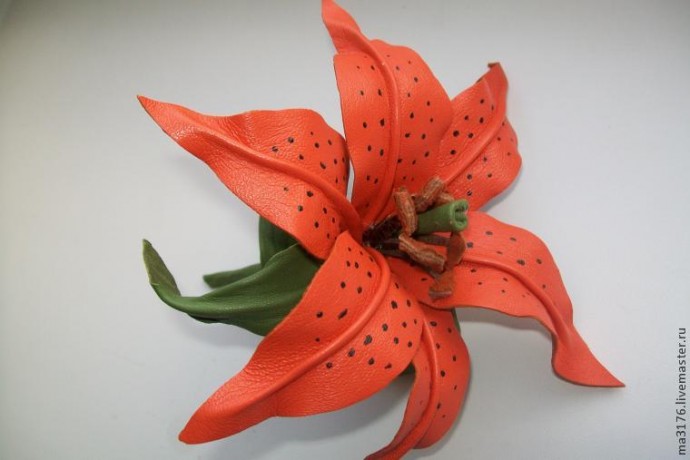 Огненная лилия
