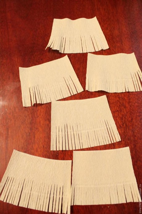 ​Самые сладкие астры