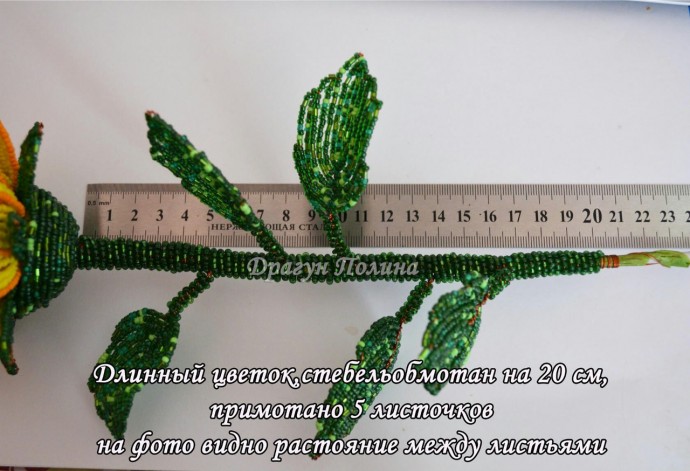 ​Солнечные подсолнухи