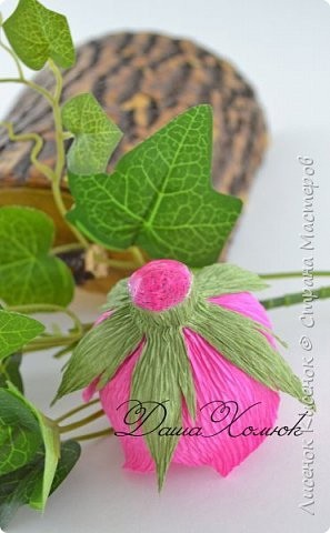 Восхитительные розы из гофрированной бумаги: мастер-класс Восхитительные розы из гофрированной бумаги: мастер-класс