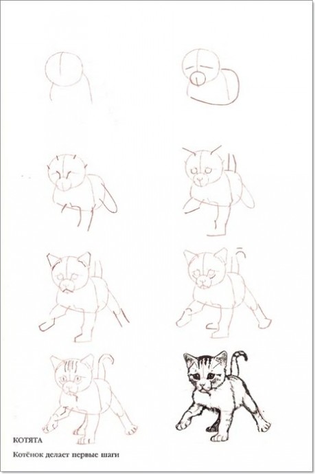 Учимся рисовать животных