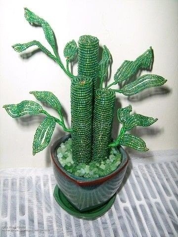 Красота для вашего вдохновения