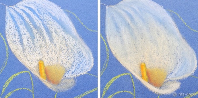 Рисуем пастелью изящный цветок каллы