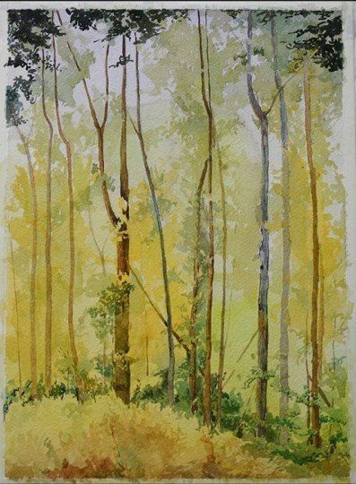 Урок рисования: лес акварелью