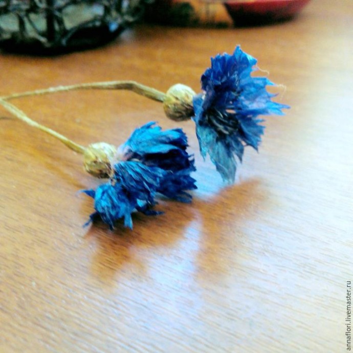 6 способов засушить васильки